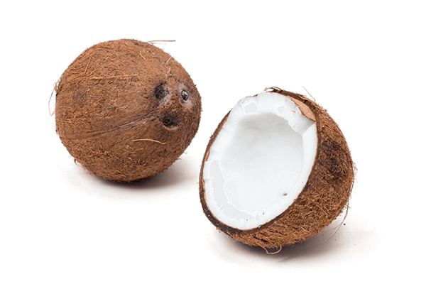 cocco